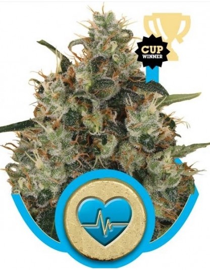 Medical Mass Medical Mass