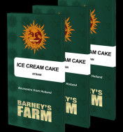 Ice Cream Cake Feminized