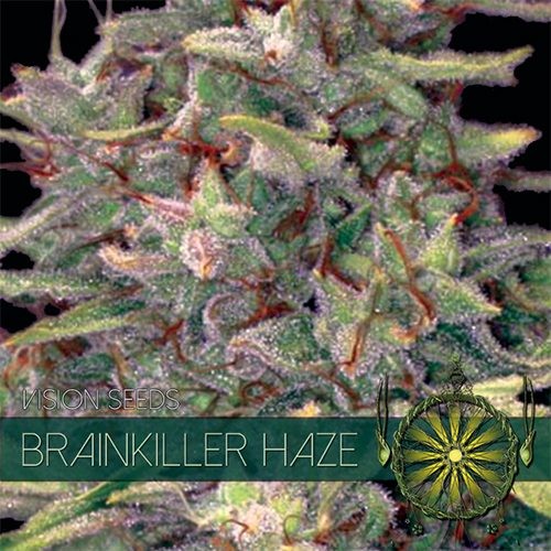 Bubblegum Haze Feminized