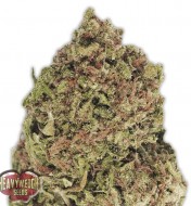 Dream Queen Feminized