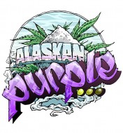Alaskan Purple Feminized