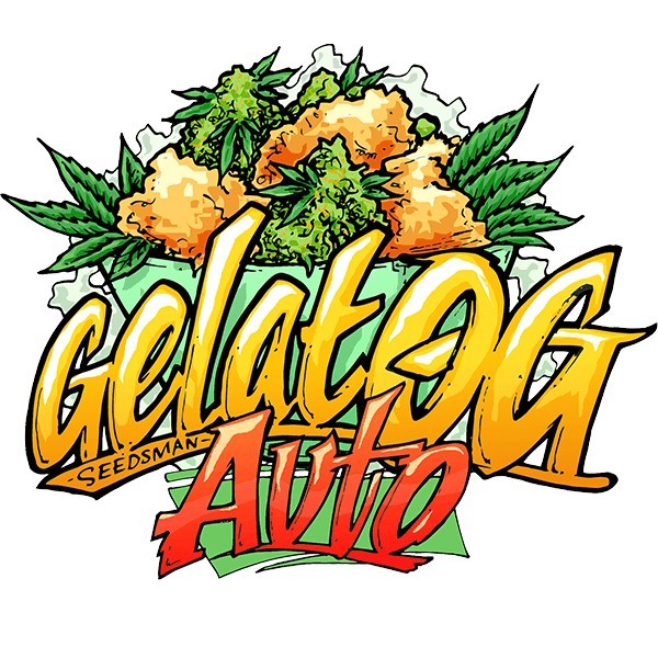 Gelato Fast Version