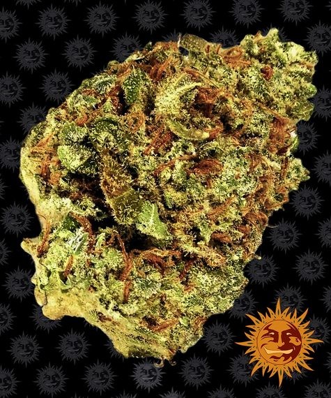 Zkittlez Regular