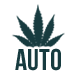 Autoflowering Seeds