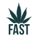 Fast Version Seeds