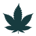 Indica Seeds
