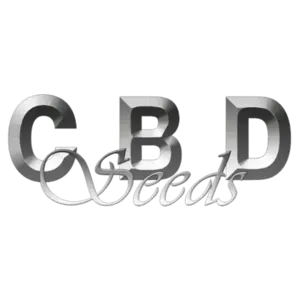 Cbd Seeds